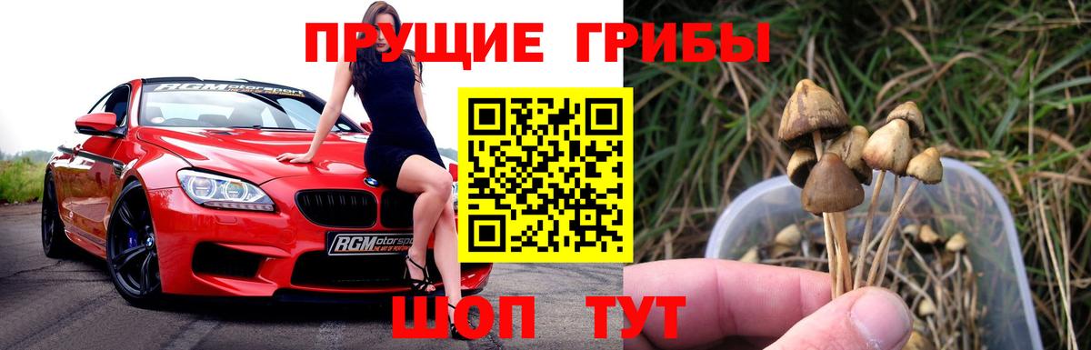 Унеча  Псилоцибиновые грибы Cubensis  Вход с VPN  Галлюциногенные грибы Magic Shrooms 